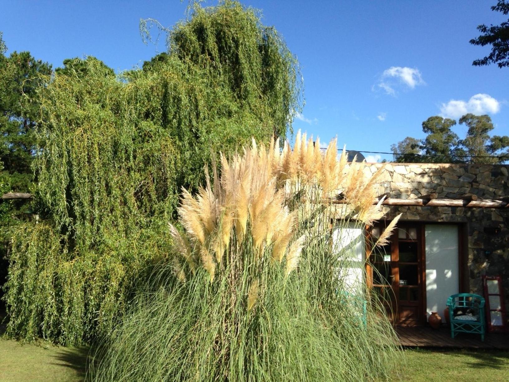 Cabanas La Escondida Tandil Exterior photo